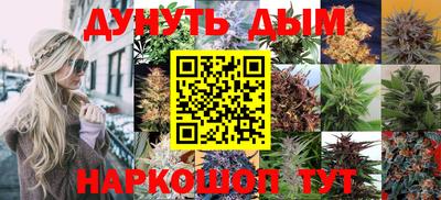 амф Гусь-Хрустальный