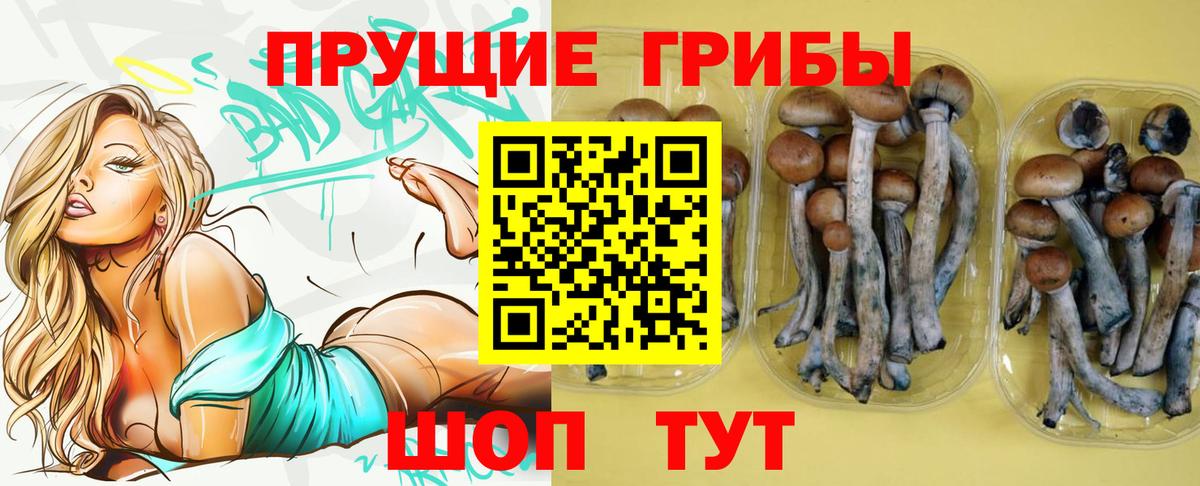 Галлюциногенные грибы мухоморы Евпатория